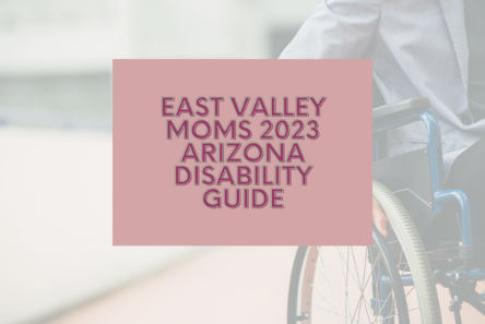 East Valley Moms 2023 Arizona Disability Guide